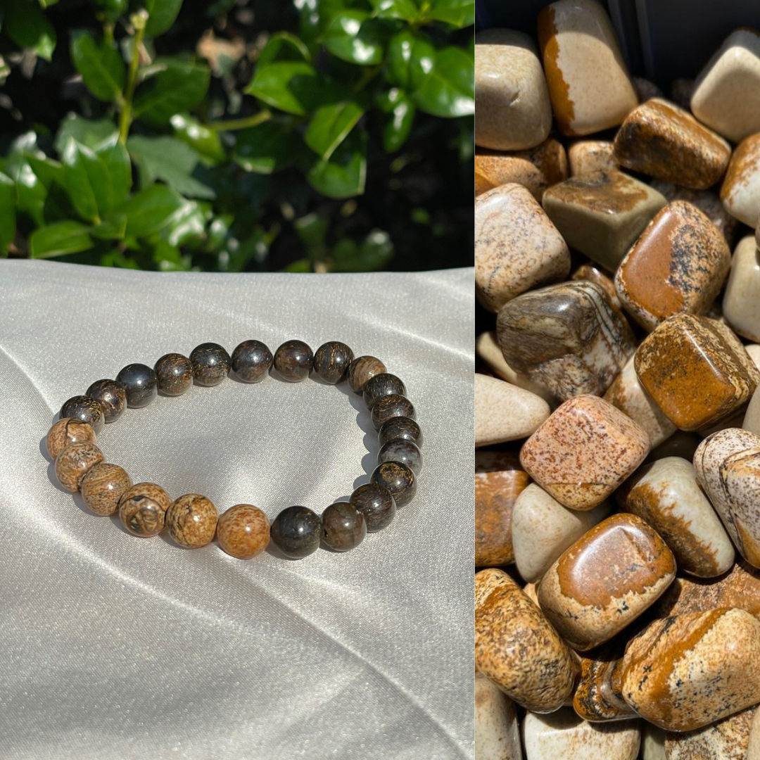 8mm Picture Jasper Bracelet
